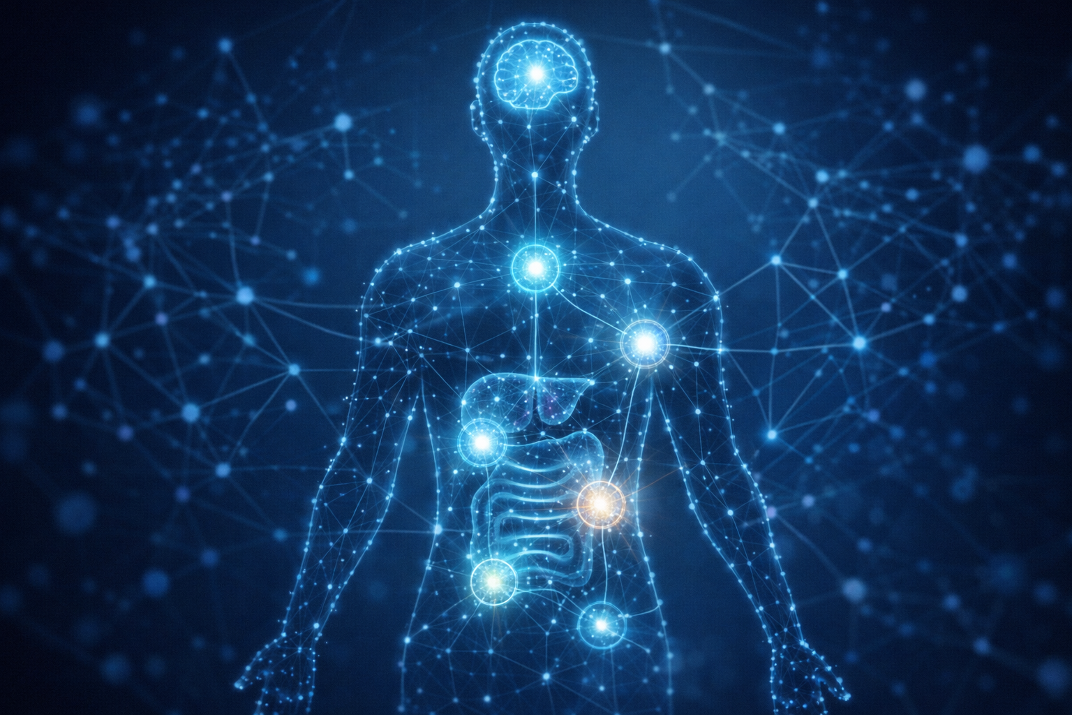 7대 생리 축 네트워크